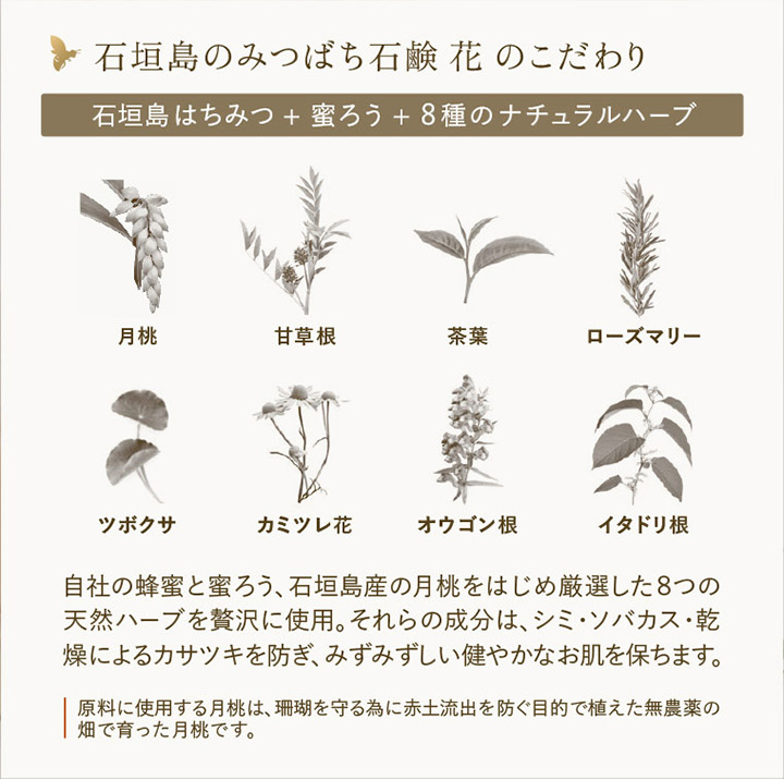 みつばち石鹸 『花hana』リーフレット